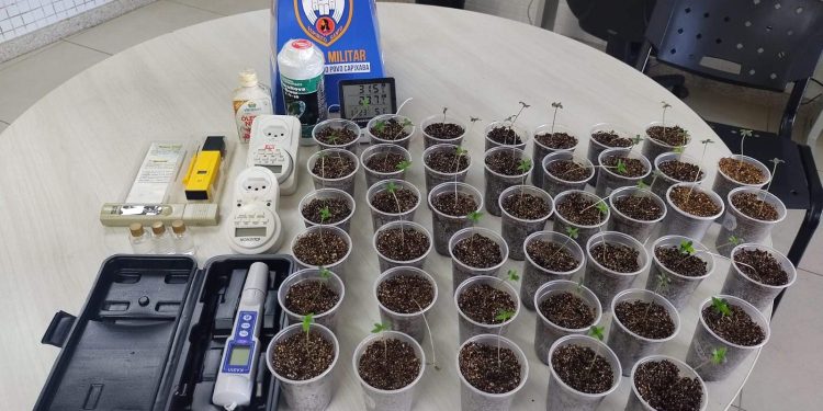 Mãe encontra laboratório de drogas ao procurar documentos de filho em Vila Velha