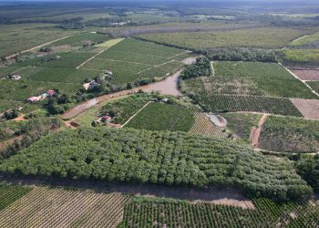 SÃO MATEUS É A MELHOR CIDADE DO ESPÍRITO SANTO PARA FAZER NEGÓCIOS NO AGRO, APONTA REVISTA EXAME