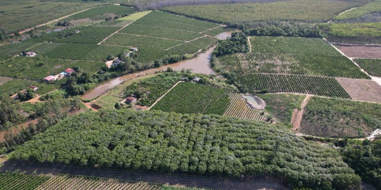 SÃO MATEUS É A MELHOR CIDADE DO ESPÍRITO SANTO PARA FAZER NEGÓCIOS NO AGRO, APONTA REVISTA EXAME