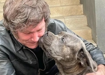 Presidente eleito da Argentina, Milei diz que fala com cão de estimação morto com ajuda de médium