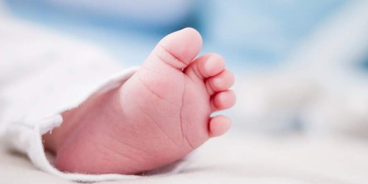 Bebê de 8 meses morre vítima de dengue e covid; entenda