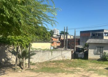 Pitbull ataca e mata o próprio dono dentro de casa em Linhares