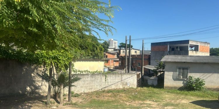 Pitbull ataca e mata o próprio dono dentro de casa em Linhares