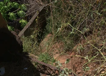 Idoso desaparecido há três dias é achado vivo em barranco no ES