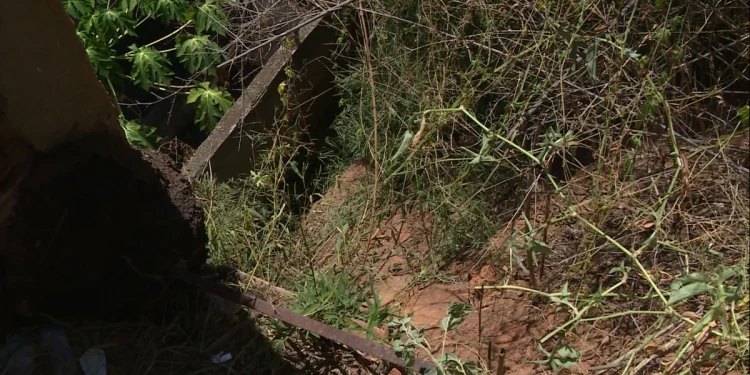 Idoso desaparecido há três dias é achado vivo em barranco no ES
