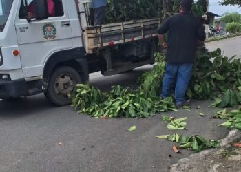 Secretaria de Meio Ambiente intensifica ações de cuidado e prevenção em Ecoporanga