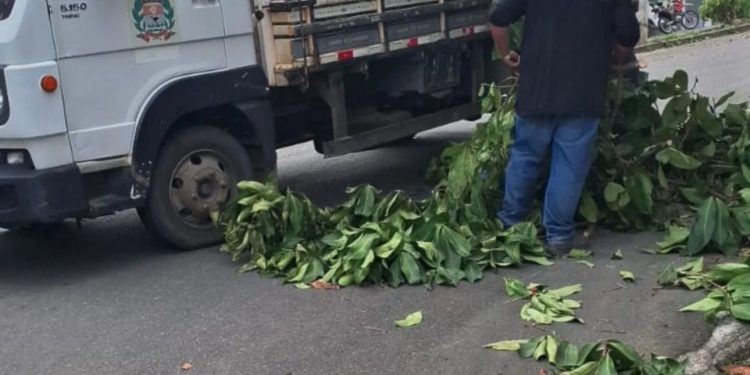 Secretaria de Meio Ambiente intensifica ações de cuidado e prevenção em Ecoporanga