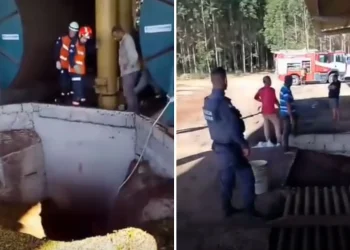 Trabalhador morre após ser “engolido” por secador de café em São Mateus
