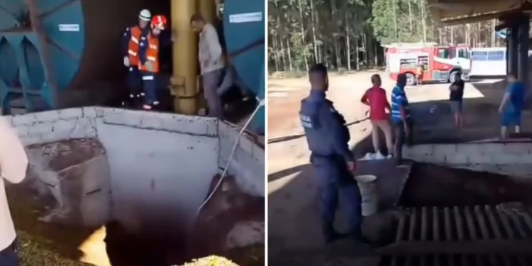 Trabalhador morre após ser “engolido” por secador de café em São Mateus