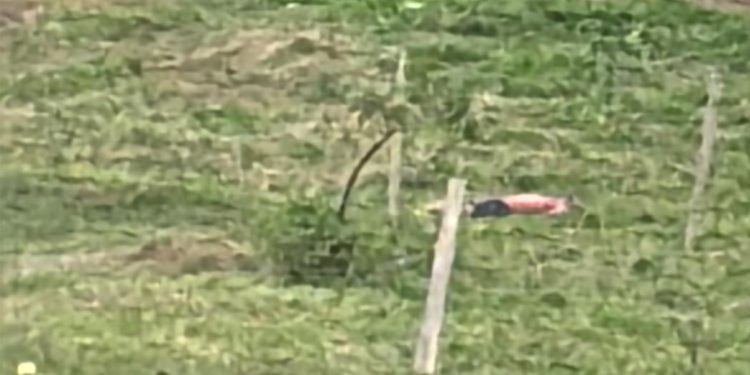 Tarde sangrenta em São Mateus: homem mata pessoa com problemas mentais e acaba morto por populares no bairro Morada do Lago