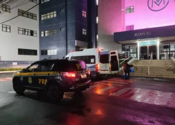 Em corrida contra o tempo, PRF escolta van com órgãos de São Mateus para Cariacica